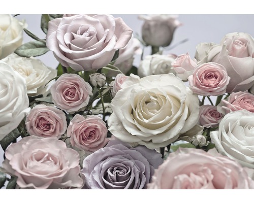 Papier peint panoramique papier 8-736 VOL 15 Floraison 8 pces 368 x 254 cm Gros plan de fleurs de roses dans un arrangement floral