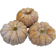Trois courges