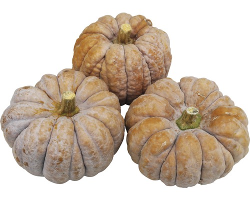 Trois courges
