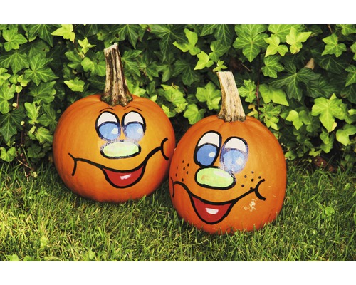 Courge d'ornement Halloween peinte à la main noire, petit modèle Ø 10-12 cm, Deux citrouilles peintes avec des visages dans le jardin.