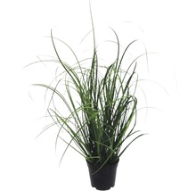 Grasbusch im Topf für den Innen- und Außenbereich