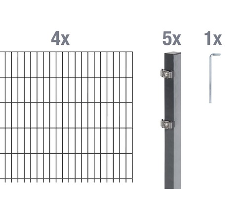 Ensemble de base de panneaux rigides double fil Alberts 8 m 200 x 100 cm, type: 6/5/6, anthracite Ensemble de base de panneaux rigides double fil Alberts 8 m 200 x 100 cm, type: 6/5/6, anthracite