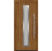 Haustür mit Glaseinsatz und Edelstahlgriff