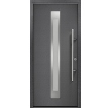 Haustür mit Glaseinsatz und Griffstange