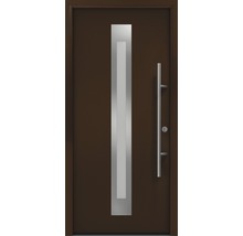 Haustür mit Glaseinsatz und Stangengriff
