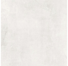 Carrelage mur et sol Extra white 81x81 cm