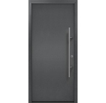 Porte d''entrée avec poignée et serrure