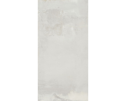 Wand- und Bodenfliese Abita argento 60x120 cm Wand- und Bodenfliese Abita argento 60x120 cm