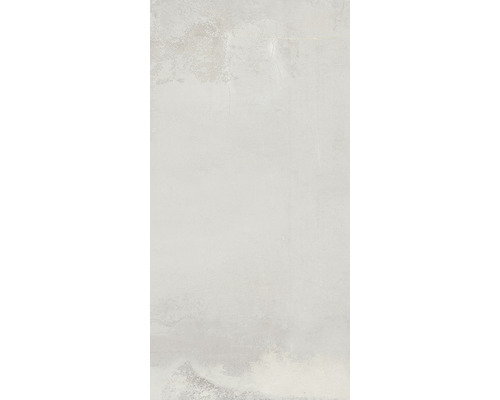 Carrelage mur et sol Abita argento 30x60 cm