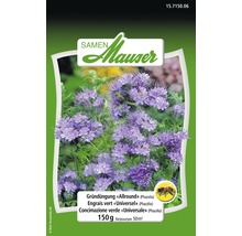 Mauser Samen Allround Phacelia Packung