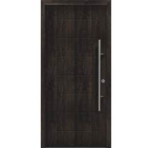 Porte en bois foncé avec poignée en acier inoxydable