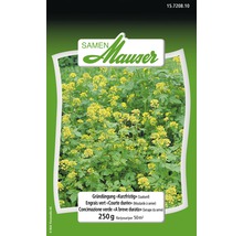 Mauser Gründüngung Kurzfristig Saatgutpackung 250g