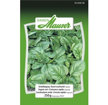 Paquet de graines d''épinards 250 grammes
