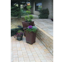 Aménagement de jardin avec pavés, plates-bandes surélevées et plantes