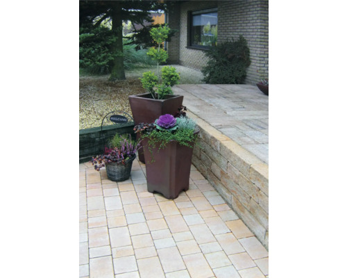 Aménagement de jardin avec pavés, plates-bandes surélevées et plantes