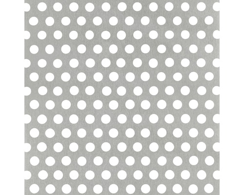 Tôle perforée en aluminium argenté 250x500x0.3 mm Plaque métallique avec trous ronds