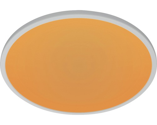 Panneau ovale vierge