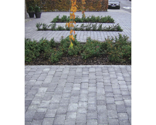 Gepflasterter Weg mit rechteckigen Steinen und Bepflanzung