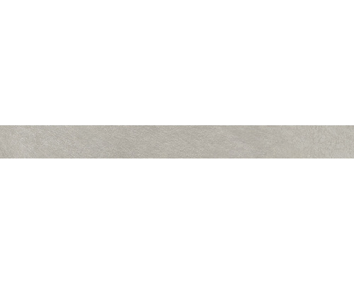 Plinthe de carrelage Revenant silver 7.5x60 cm Structure de fond