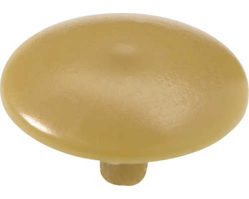 Capuchon de recouvrement, aulne/hêtre Ø 15 mm, 200 pièces Bouton de meuble en plastique