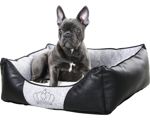 Chien allongé dans un lit pour chien noir avec un motif de couronne.
