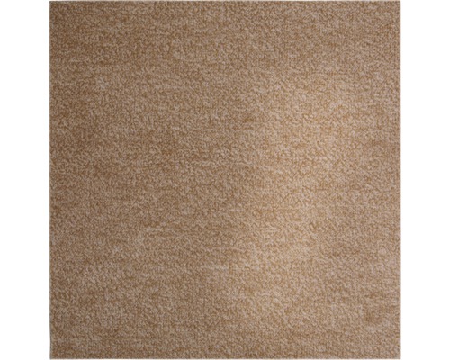 Moquette Shag Catania beige foncé largeur 400 cm (au mètre)