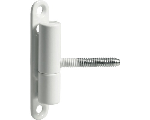 Ruban de rénovation, blanc 13x68 mm, 5 pièces Paumelle de porte avec vis pour fixation sur cadre de porte
