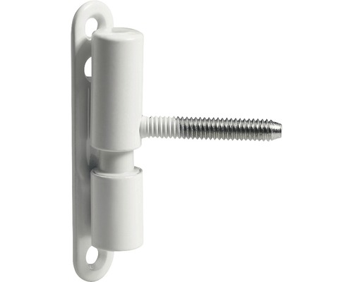 Renovierband wartungsfrei, weiss 15x83.5 mm, 10 Stück Einschraubband aus Metall mit Schraube