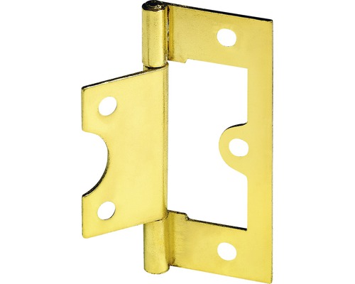 Charnière pour porte à lamelles, laitonnée 38x20 mm, 25 pièces Paumelle de porte en métal