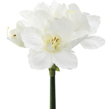 Amaryllis artificielle décorative