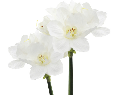 Deux jonquilles artificielles à fleurs blanches