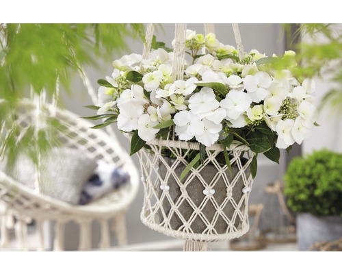Pot de fleurs suspendu avec hortensia blanche dans un support en macramé