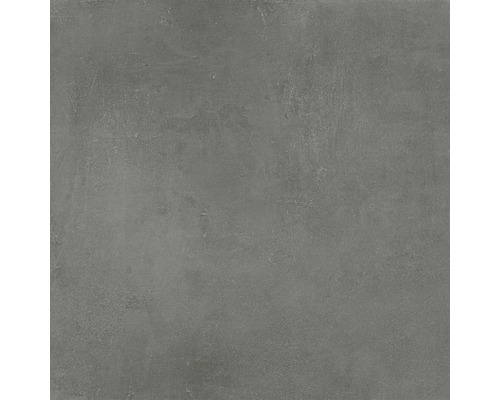 Feinsteinzeug Wand- und Bodenfliese New Concrete grau matt 60x60 cm