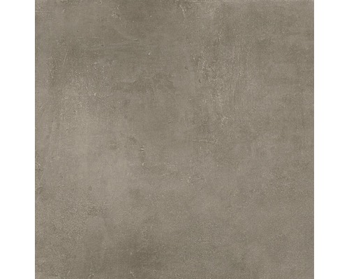 Feinsteinzeug Wand- und Bodenfliese New Concrete Taupe matt 60x60 cm