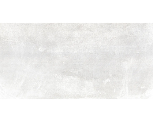 Bodenfliese Globus Platinum 30x60 cm rektifiziert Bodenfliese Globus Platinum 30x60 cm rektifiziert