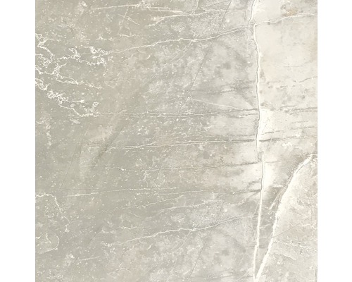 Carrelage de sol en grès cérame fin Arch gris clair émaillé 60x60 cm