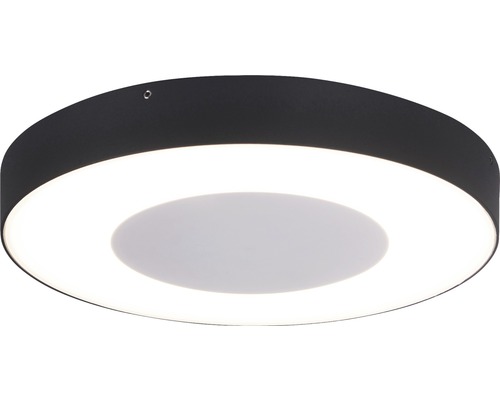 Applique extérieure à LED Näve avec détecteur de mouvement avec 120 ampoules LED 1390lm 24W 3000K blanc chaud