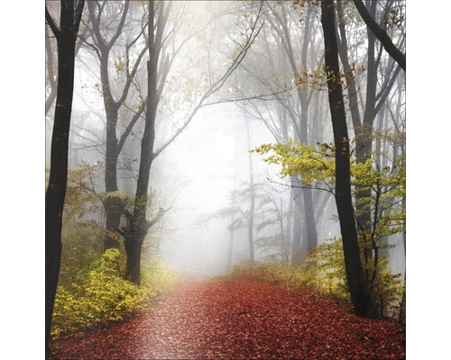 Fertigbild Mystic Forest 98x98 cm