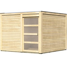 Abri de jardin en bois avec porte vitrée