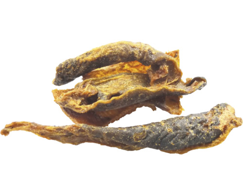 Sprats séchés comme nourriture pour animaux