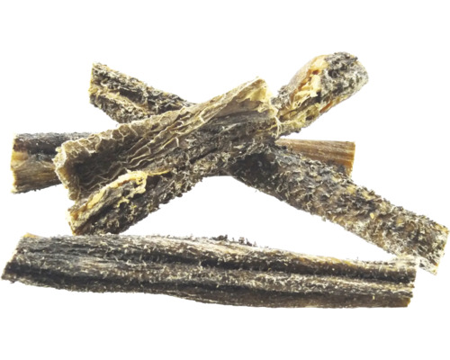 Panse séchée pour chiens