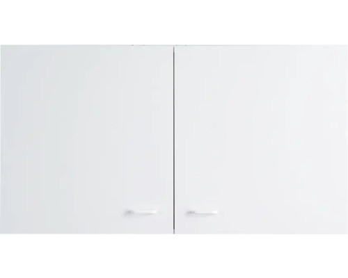 Hängeschrank Flex Well Speed BxHxT 100x55x32 cm Frontfarbe weiss - Korpusfarbe weiss