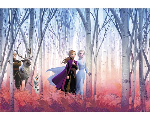 Papier peint panoramique SD4102 Disney Edition 4 Disney Frozen Friends forever 8 pces 368 x 254 cm