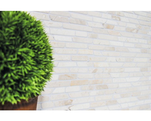 Wandgestaltung mit Steindekor und Pflanze