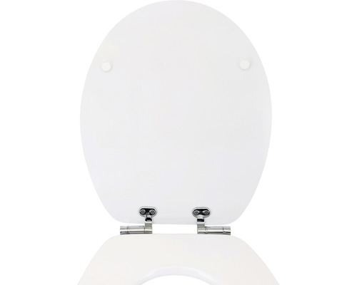 Abattant de WC en céramique sanitaire