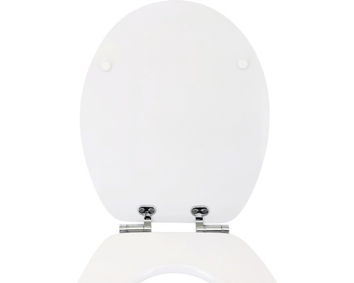 Abattant de WC avec charnières en acier inoxydable