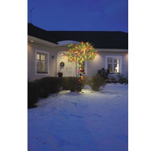 Arbre illuminé avec des lumières colorées devant une maison en hiver.