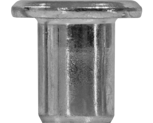 Ecrou à manchon M6 tête cylindrique galvanisé 100 unités Rivet tubulaire en métal pour projets de bricolage