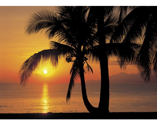 Fototapete Palmy Beach Sunrise 368x254 cm