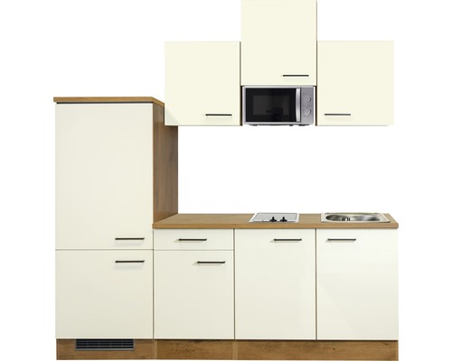 Küchenzeile mit Spüle, Kochfeld und Mikrowelle